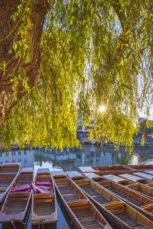 UK, England, Cambridge, The Mill Pond, Punts