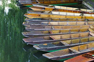 UK, England, Cambridge, River Cam, Punts