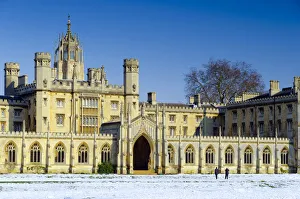 Colleges Prints: UK, England, Cambridge, St. Johns College