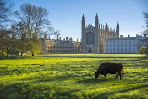 UK, England, Cambridgeshire, Cambridge, The Backs, Kings College, King s