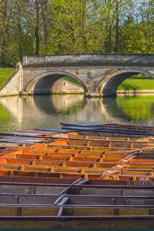 UK, England, Cambridgeshire, Cambridge, The Backs, River Cam