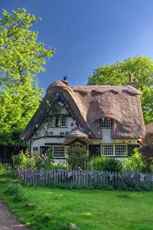 UK, England, Cambridgeshire, Houghton, Traditional thatched cottage