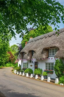 Images Dated 21st July 2022: UK, England, Cambridgeshire, Wennington, Traditional thatched cottage