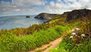 UK, England, Cornwall, Tintagel