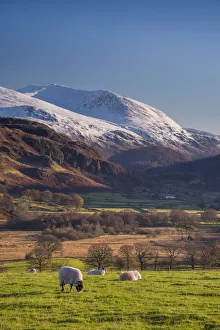 Circle Prints: UK, England, Cumbria, Lake District, Keswick, Castlerigg