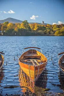 Images Dated 9th February 2017: UK, England, Cumbria, Lake District, Derwentwater, Keswick, Rowing Boats for hire