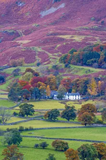 Images Dated 9th February 2017: UK, England, Cumbria, Lake District, Borrowdale on south bank of Derwentwater