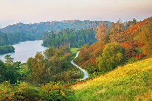 UK, England, Cumbria, Lake District, Lake District National Park, Tarn Hows