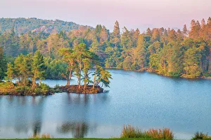 UK, England, Cumbria, Lake District, Lake District National Park, Tarn Hows