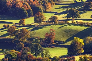 Lakeland Prints: UK, England, Cumbria, Lake District, Ullswater