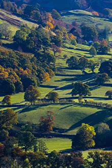 Ullswater Prints: UK, England, Cumbria, Lake District, Ullswater