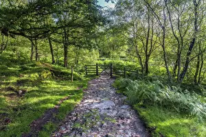 UK, England, Derbyshire, Peak District National Park, High Peak, Burbage Edge, Gate