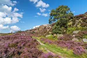 UK, England, Derbyshire, Peak District National Park, High Peak, Burbage Edge