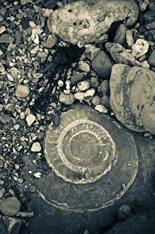 UK, England, Dorset, Lyme Regis, a Gateway Town to the UNESCO World Heritage Site