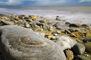 UK, England, Dorset, Lyme Regis, a Gateway Town to the UNESCO World Heritage Site