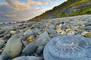 Images Dated 15th March 2013: UK, England, Dorset, Lyme Regis, a Gateway Town to the UNESCO World Heritage Site