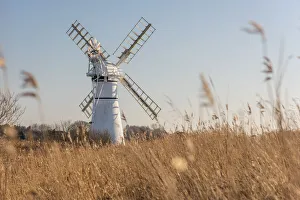 UK, England, East Anglia, Norfolk, Norfolk Broads, Thurne, Thurne Dyke Drainage Mill