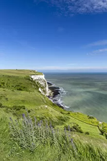UK, England, Kent Dover The White Cliffs