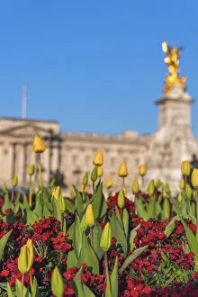 Images Dated 2nd June 2016: UK, England, London, Buckingham Palace