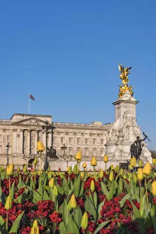 Images Dated 2nd June 2016: UK, England, London, Buckingham Palace