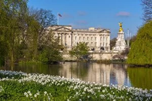 London Gallery: UK, England, London, Buckingham Palace from St Jamess Park