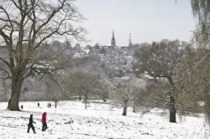 UK, England, London, Hampstead Heath in the snow