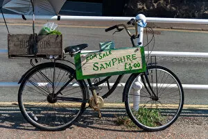UK, England, Norfolk, Blakeney, Samphire for Sale sign on bicycle