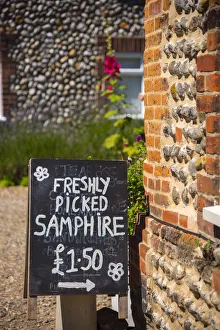 UK, England, Norfolk, North Norfolk, Blakeney