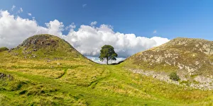 UK, England, Northumberland, Hexham, Henshaw, Hadrians Wall, Sycamore Gap