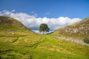 UK, England, Northumberland, Hexham, Henshaw, Hadrians Wall, Sycamore Gap
