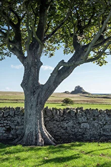 Images Dated 21st February 2023: UK, England, Northumberland, Holy Island, Lindisfarne, the castle seen across a dry stone walls