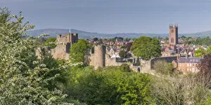 Images Dated 20th June 2019: UK, England, Shropshire, Ludlow, Ludlow Castle