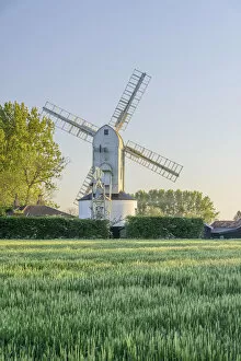 Images Dated 8th June 2017: UK, England, Suffolk, Saxtead Green, Saxtead Green Windmill