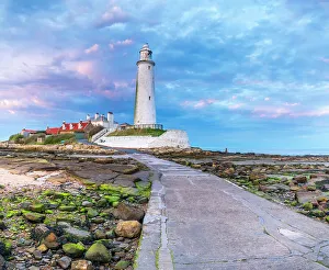 Tyne And Wear Prints: UK, England, Tyne and Wear, North Tyneside
