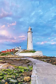 Tyne And Wear Prints: UK, England, Tyne and Wear, North Tyneside