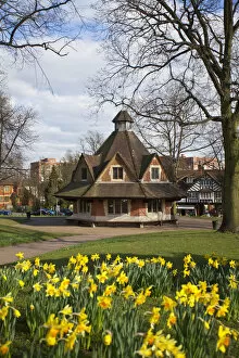 Images Dated 24th May 2011: UK, England, West Midlands, Birmingham, Bournville, Daffodils on Bournville Village
