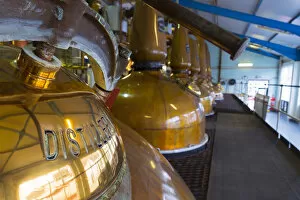 Images Dated 27th November 2014: UK, Scotland, Argyll and Bute, Islay, Laphroaig Whisky Distillery, Copper Pot Stills