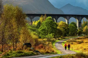 Tracks Prints: UK, Scotland, Highland, Loch Shiel