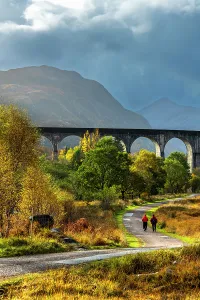 Tracks Prints: UK, Scotland, Highland, Loch Shiel