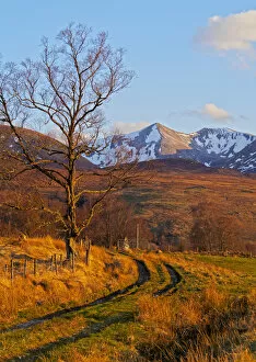 Images Dated 20th January 2016: UK, Scotland, Highlands, Roy Bridge, View towards Stob Ban and the Grey Corries