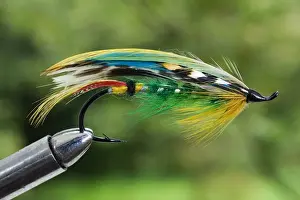 Sport Prints: UK. A traditional salmon fishing fly called a Green Highlander