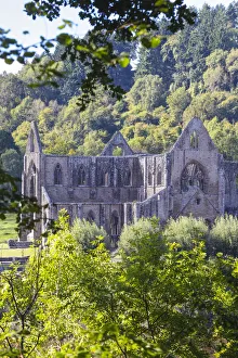 Cistercian Abbey Prints: UK, Wales, Monmouthshire, Wye Valley, Tintern, Tintern Abbey