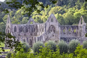 UK, Wales, Monmouthshire, Wye Valley, Tintern, Tintern Abbey