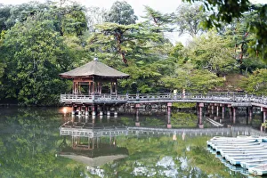 Nara Prints: Ukimido pavilion in the evening, Nara Park, Nara, Kansai, Japan