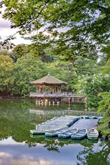 Nara Prints: Ukimido pavilion in the evening, Nara Park, Nara, Kansai, Japan