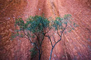 Red Center Prints: Uluru (Ayers Rock), Uluru-Kata Tjuta National Park, Northern Territory, Central Australia