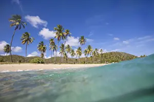 Leeward Islands Prints: Underwater view of the sandy beach surrounded by palm trees Carlisle Morris Bay Antigua