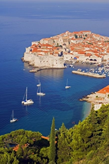 Hill Top Gallery: Unesco World Heritage Old Town Harbour