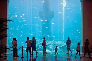 Atlantis Prints: United Arab Emirates, Dubai, The Atlantis Palm Hotel