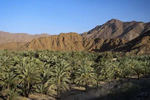 United Arab Emirates, Khor Fakkan, Landscape from Fujiairah Fort United Arab Emirates, Khor Fakkan, Landscape from Fujiairah Fort